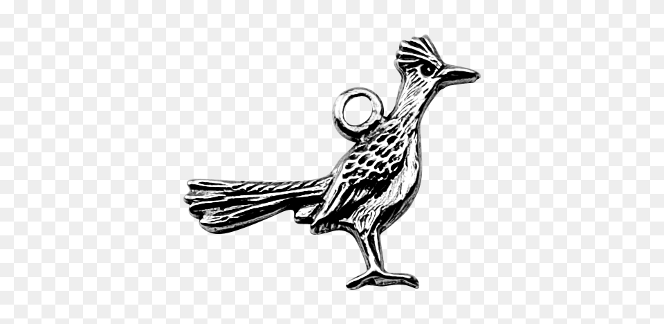 Roadrunner Ecosmart Designs, Animal, Bird, Art Free Png