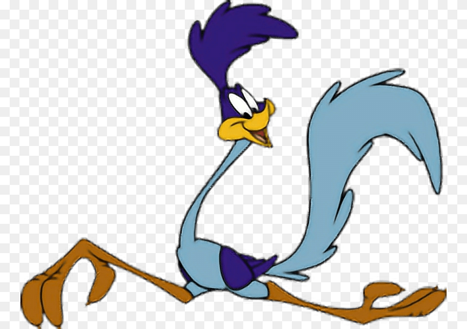 Roadrunner Looneytunes Road Runner Cartoon, Person Png Image