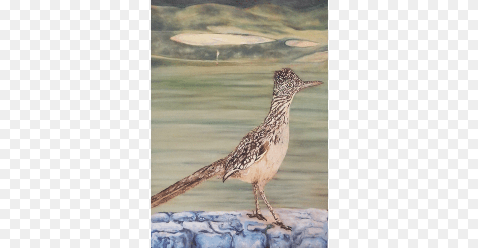 Roadrunner On Golf Course Painting, Animal, Beak, Bird Png Image