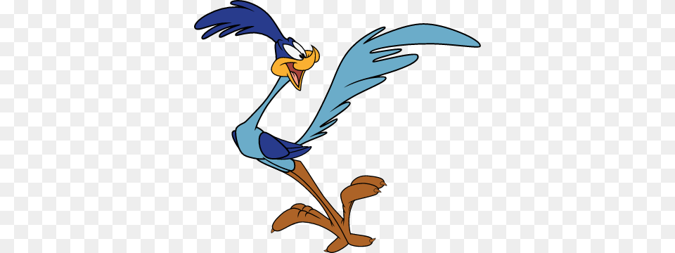 Roadrunner Rrr, Cartoon, Animal, Bird, Beak Png