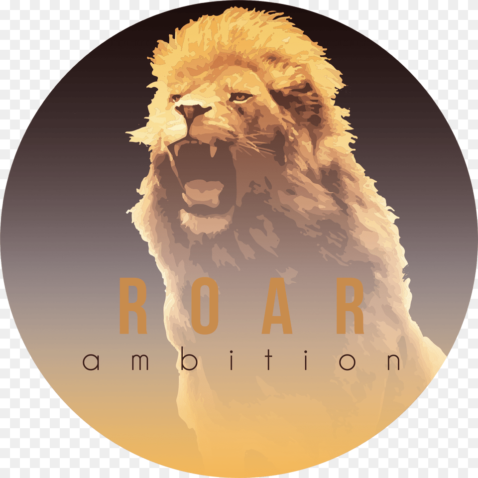 Roar Ambition, Animal, Lion, Mammal, Wildlife Free Png Download