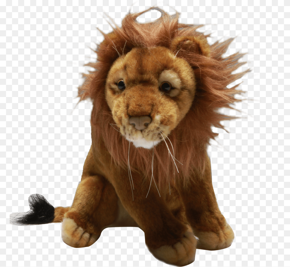 Roar Masai Lion, Animal, Mammal, Wildlife Png