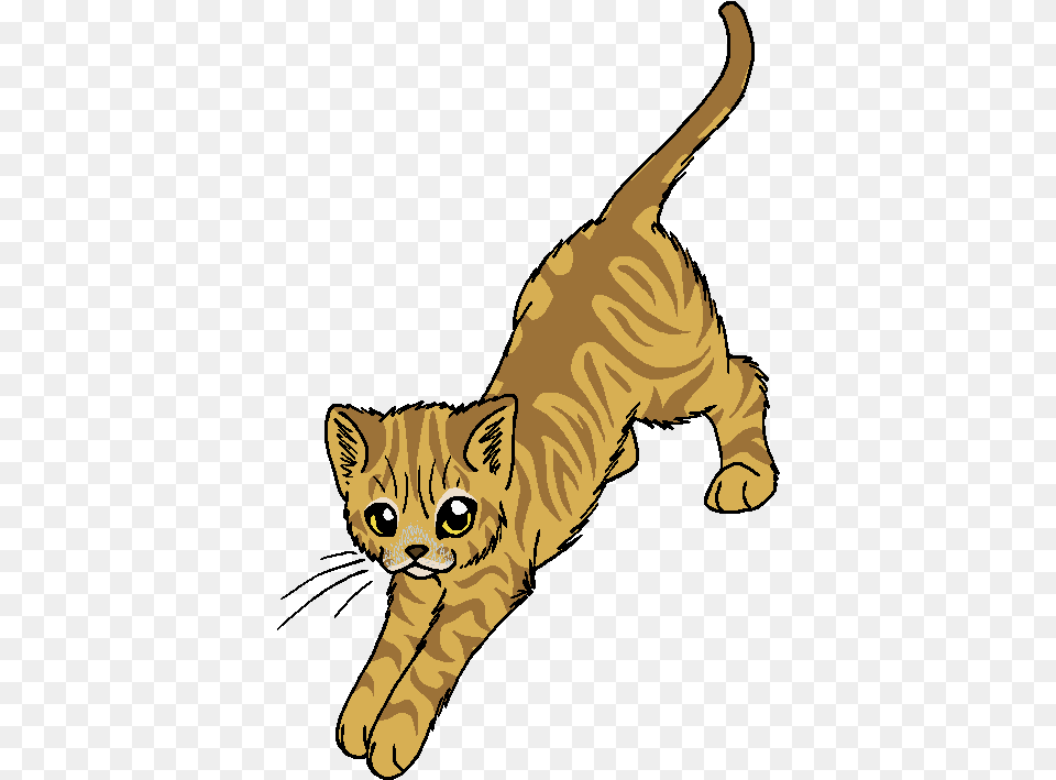 Roar Warrior Cats Hawk Swoop, Baby, Person, Animal, Cat Free Png Download