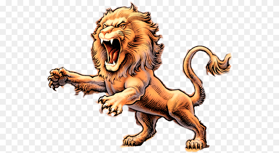 Roaring Lion Head, Animal, Mammal, Wildlife, Tiger Free Transparent Png