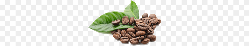 Roasted Coffee Beans And Leaves, Beverage Free Png Download