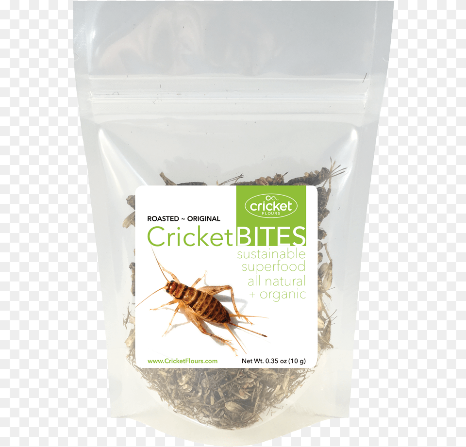 Roasted Crickets Amp Dried Crickets Dry Roasted Crickets, Animal, Cricket Insect, Insect, Invertebrate Free Transparent Png