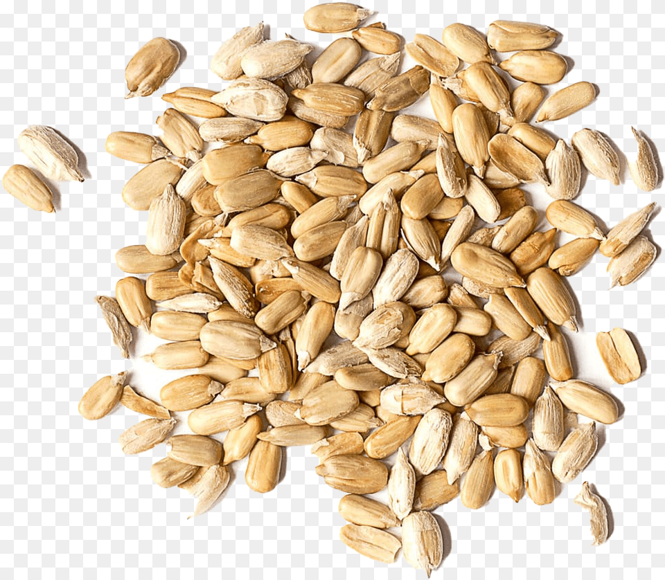 Roasted Organic Sunflower Seed, Food, Produce, Plant, Grain Png Image