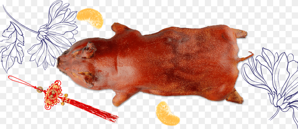 Roasted Suckling Pig Suckling Pig, Food, Meat, Pork, Aquatic Png Image