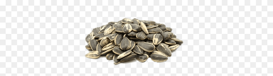 Roasted Sunflower Seeds, Food, Grain, Produce, Seed Free Png