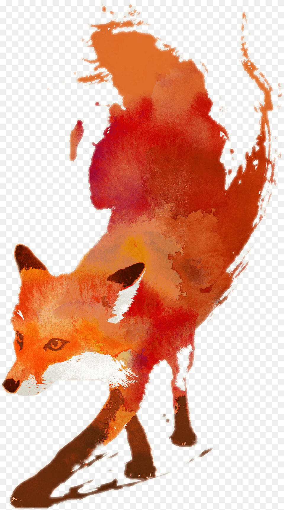 Robert Farkas 39vulpes Vulpes39 Canvas Art, Animal, Red Fox, Mammal, Wildlife Free Png