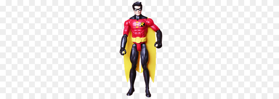 Robin Adult, Male, Man, Person Png