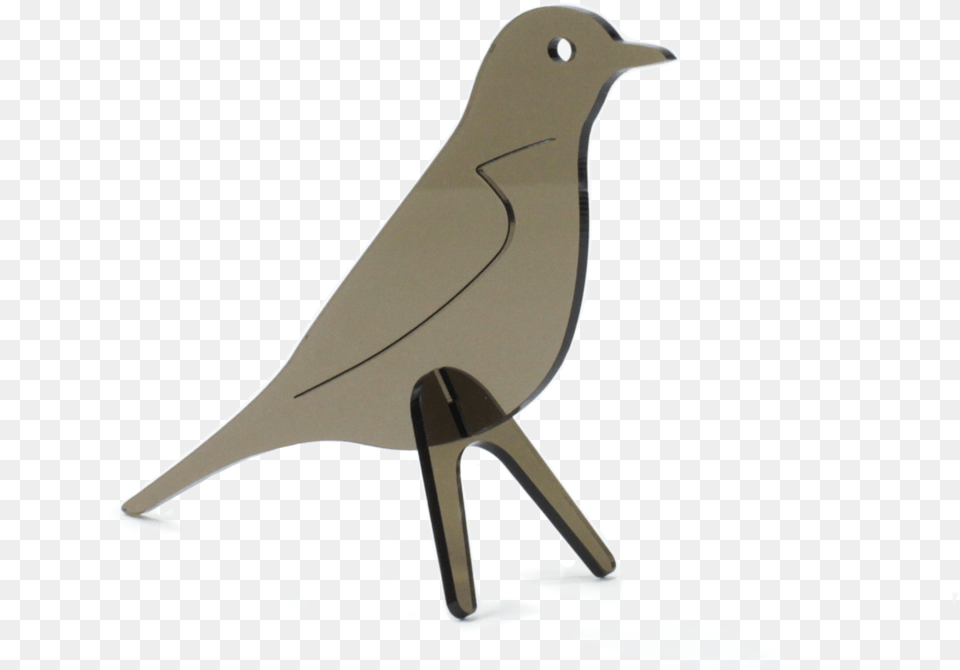 Robin Bird Mountain Bluebird, Animal, Blackbird, Art Free Png Download