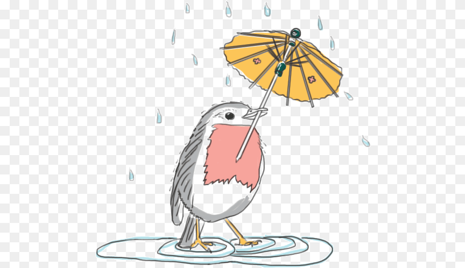 Robin Birdy In The Rain By Kate Brandy Cartoon, Canopy Free Png