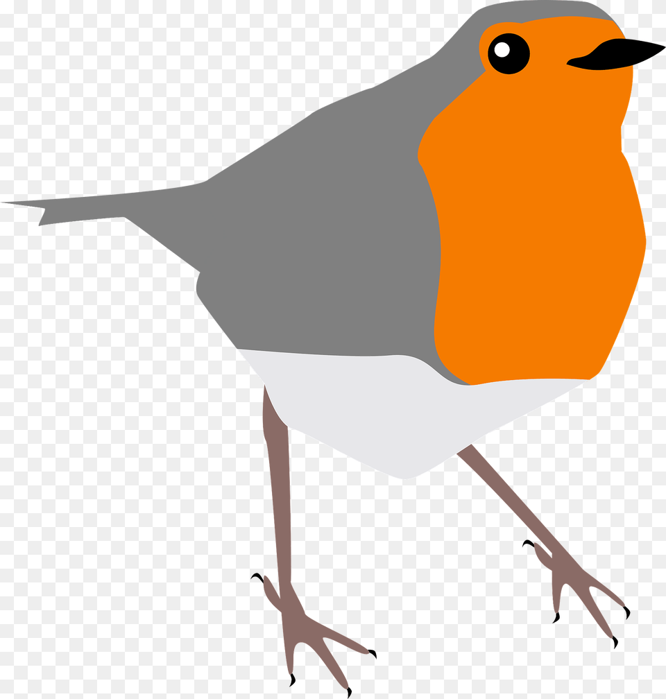 Robin Clipart, Animal, Bird Free Png Download