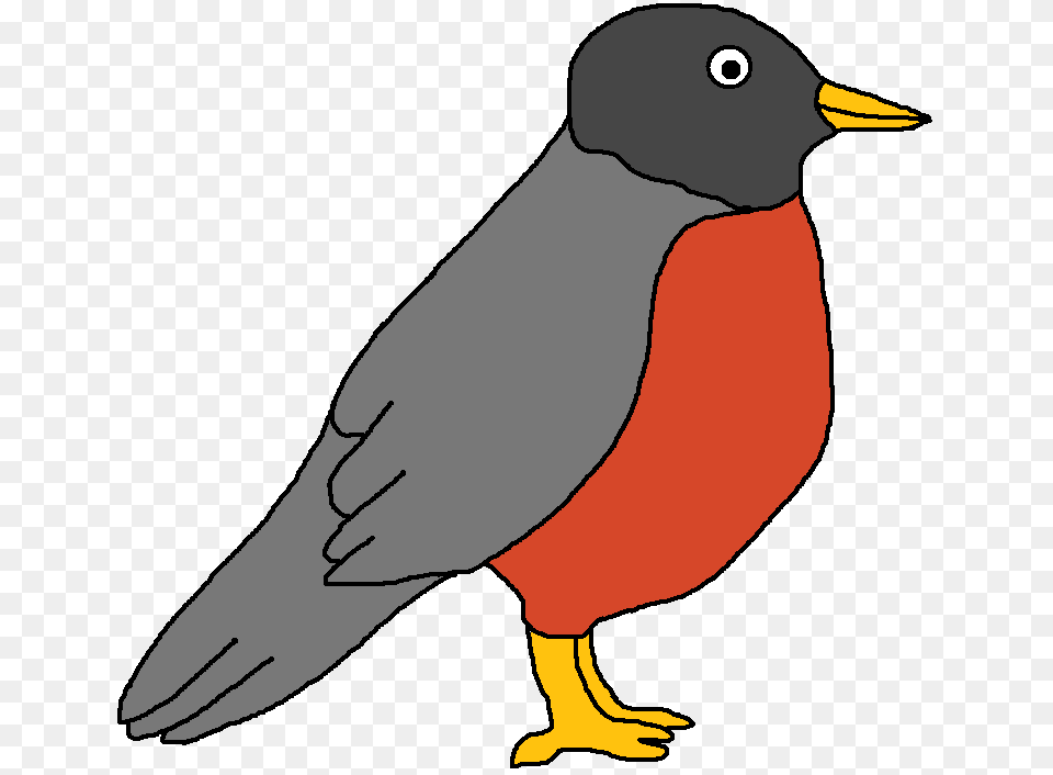 Robin Clipart, Animal, Beak, Bird, Blackbird Free Png