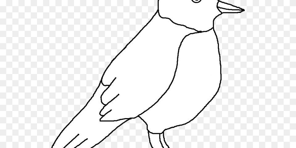 Robin Clipart Black And White, Person, Animal, Bird Png Image