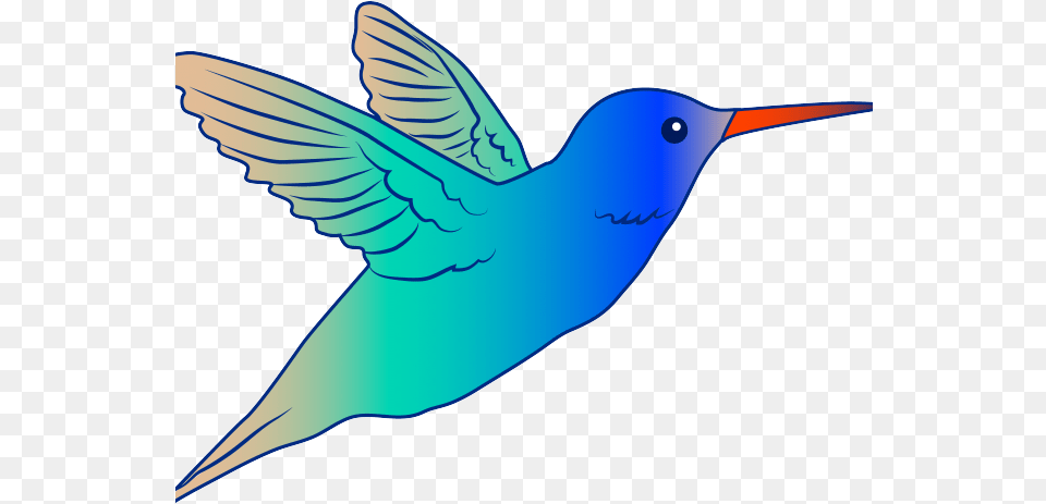 Robin Clipart Indian Clip Art Full Size Bird Flying Clip Art, Animal, Hummingbird, Fish, Sea Life Free Png Download