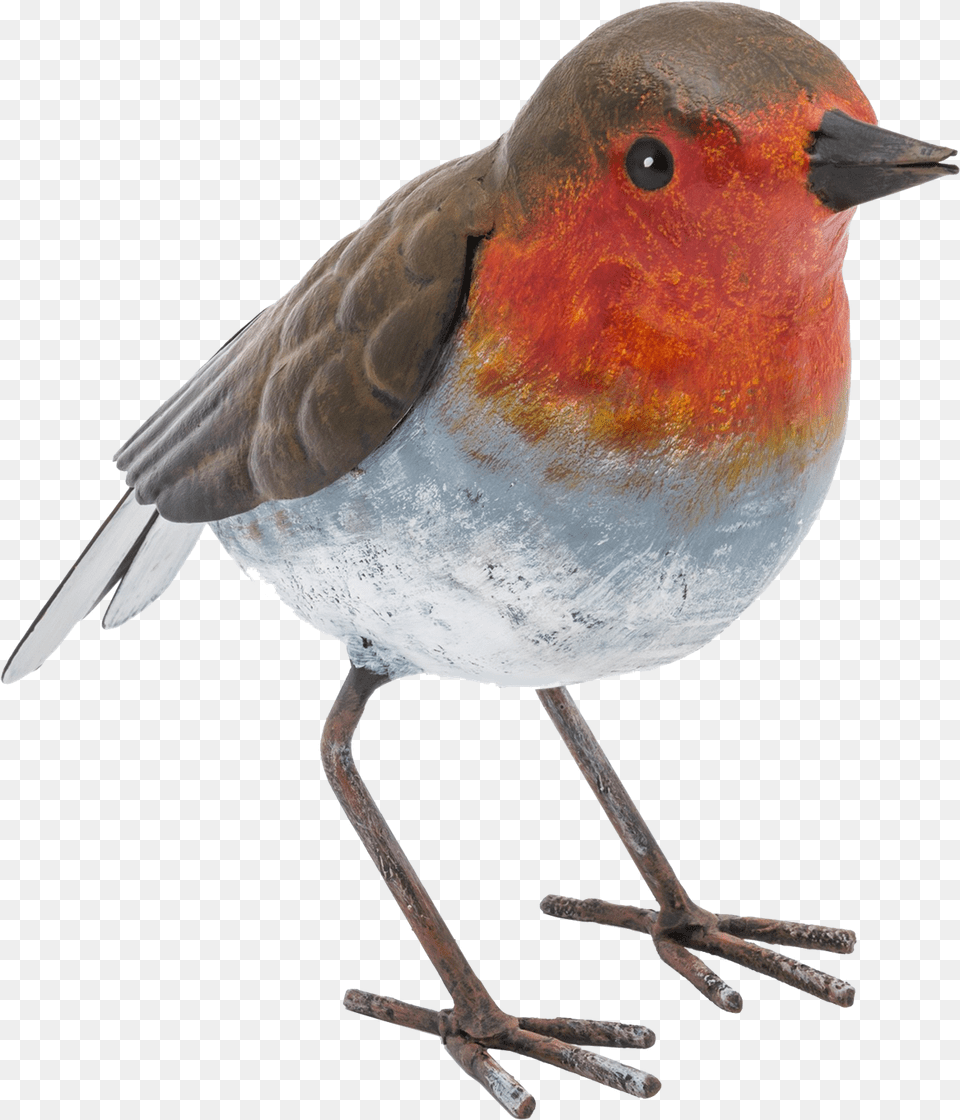 Robin Fountasia, Animal, Bird, Finch Free Png Download