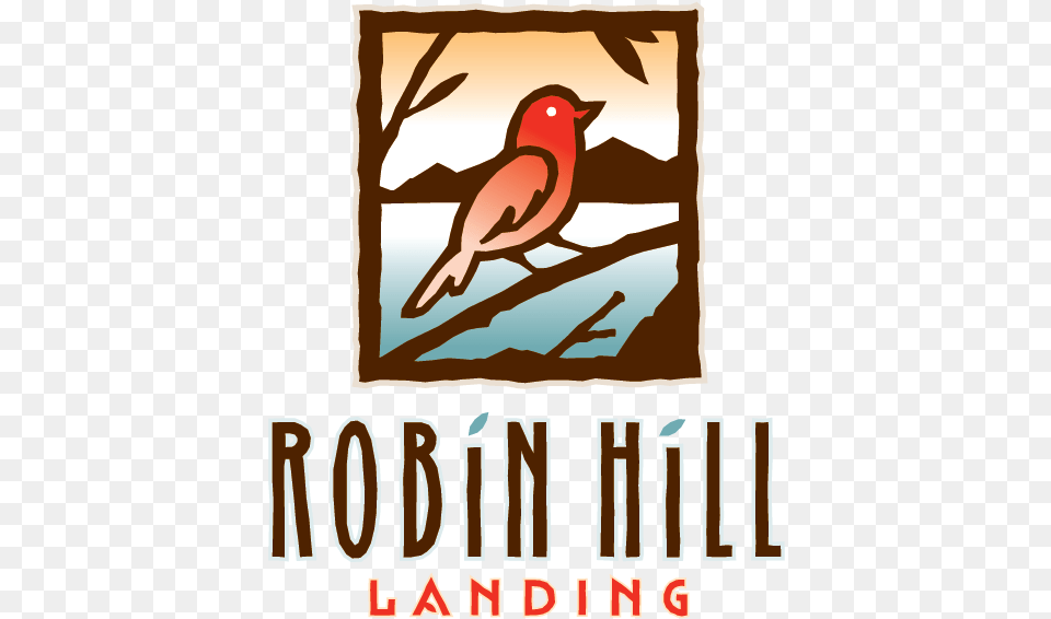 Robin Hill Landing Finch, Book, Publication, Animal, Beak Free Transparent Png