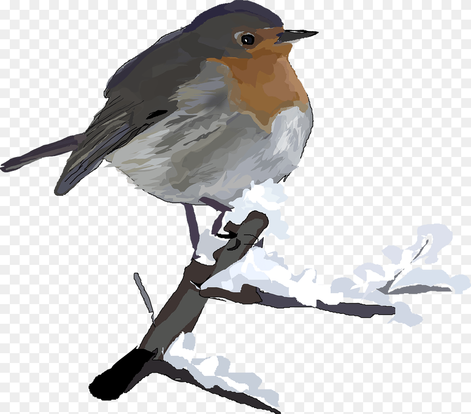 Robin In Snow Clip Art, Animal, Bird Free Png