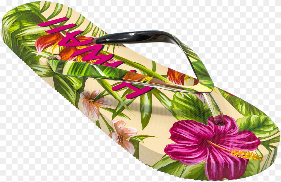 Robin Ruth For Women, Clothing, Flip-flop, Footwear, Plant Free Png Download