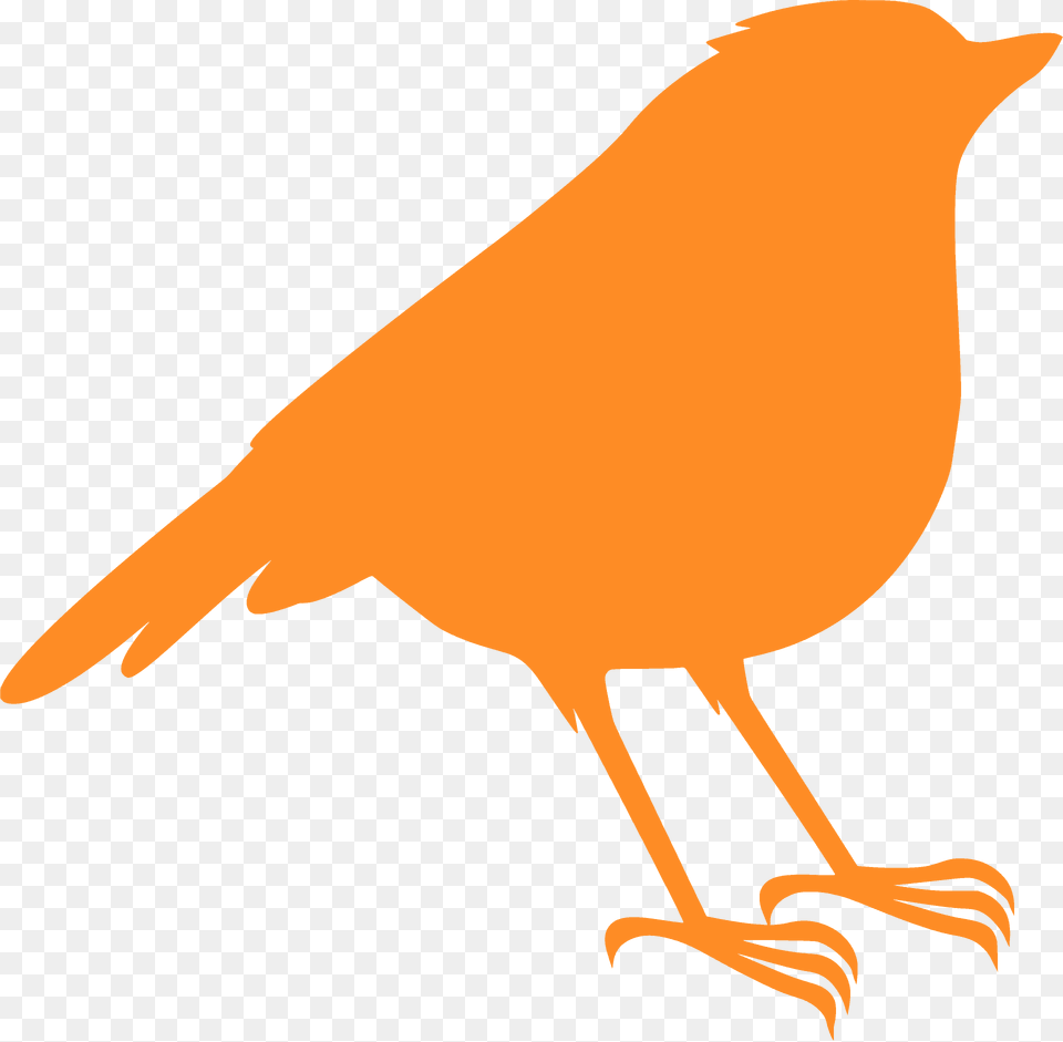 Robin Silhouette, Animal, Bird, Kangaroo, Mammal Free Transparent Png