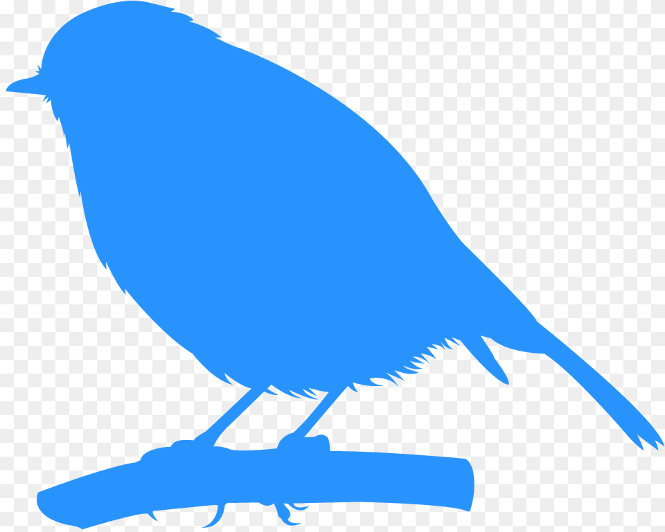 Robin Silhouette, Animal, Bird, Fish, Sea Life Free Transparent Png