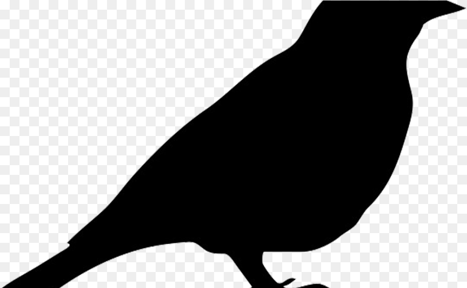 Robin Silhouette At Getdrawings Silhouette Oiseau Imprimer, Animal, Bird, Blackbird Png