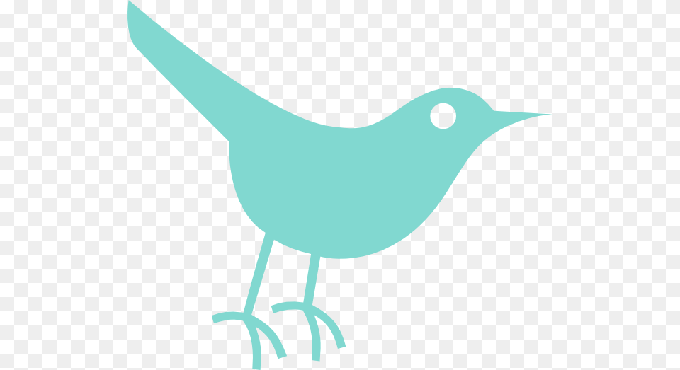 Robins Egg Twitter Bird Clip Art, Animal, Wren, Blackbird, Fish Png