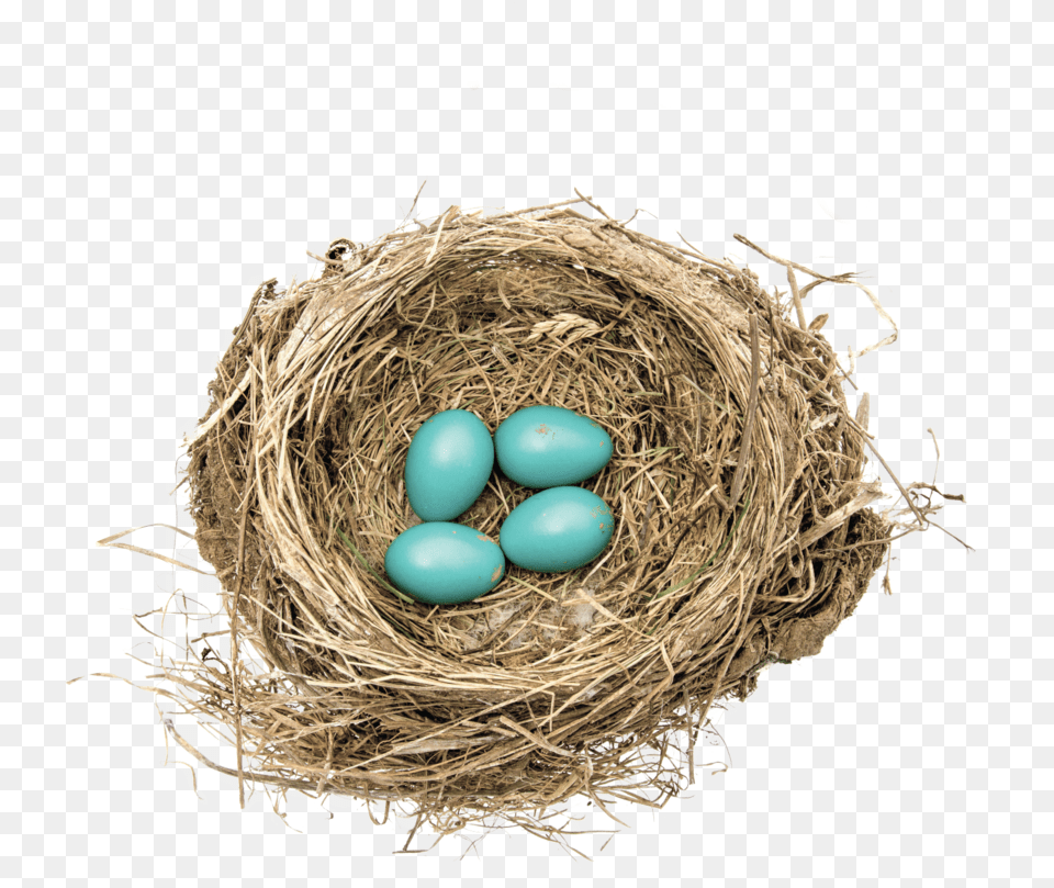 Robins Nest, Egg, Food, Person Free Png Download