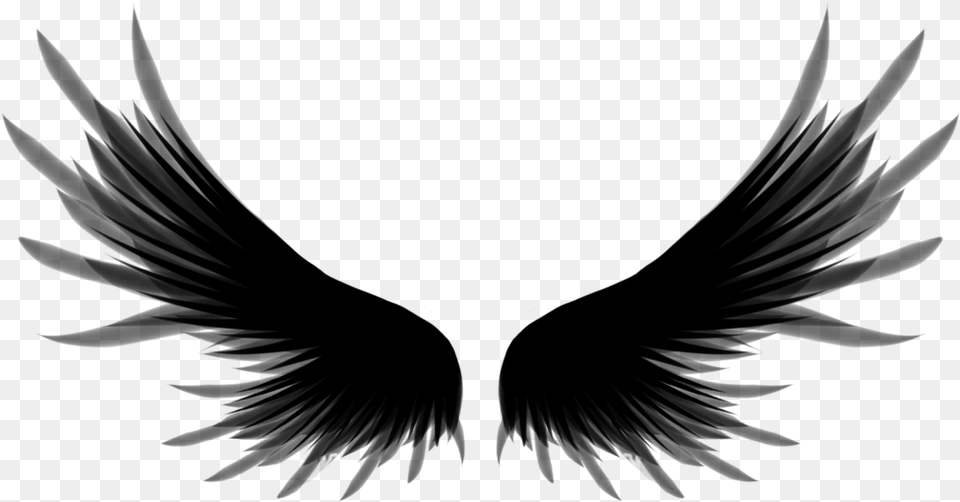 Roblox Black Wings, Gray Free Transparent Png