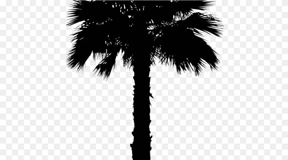 Roblox Face Max Face Roblox, Palm Tree, Plant, Silhouette, Tree Free Png Download