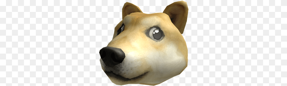Roblox Wikia Doge Roblox, Animal, White Dog, Snout, Pet Free Png Download