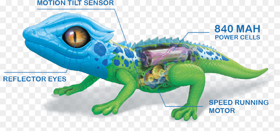 Robo Alive, Animal, Gecko, Lizard, Reptile Free Png