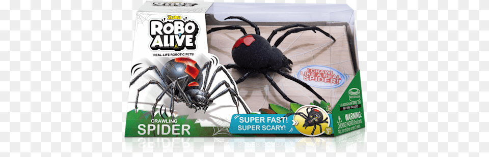 Robo Alive Spider Robo Alive The Spider, Animal, Invertebrate, Black Widow, Insect Free Transparent Png