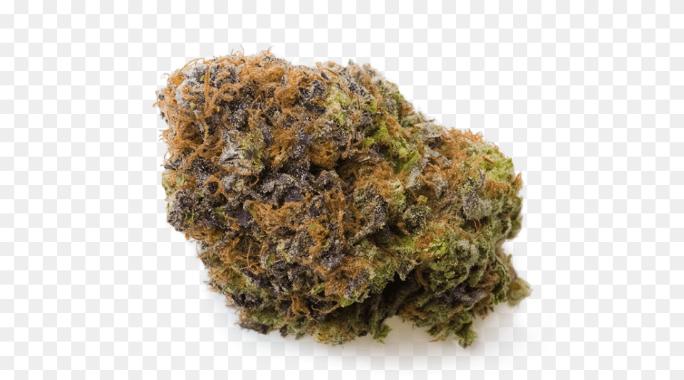 Rock, Plant, Weed, Moss, Burger Free Png