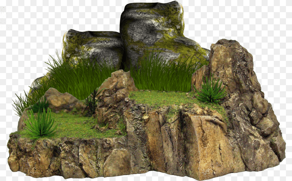 Rock, Grass, Moss, Plant, Vegetation Free Png Download