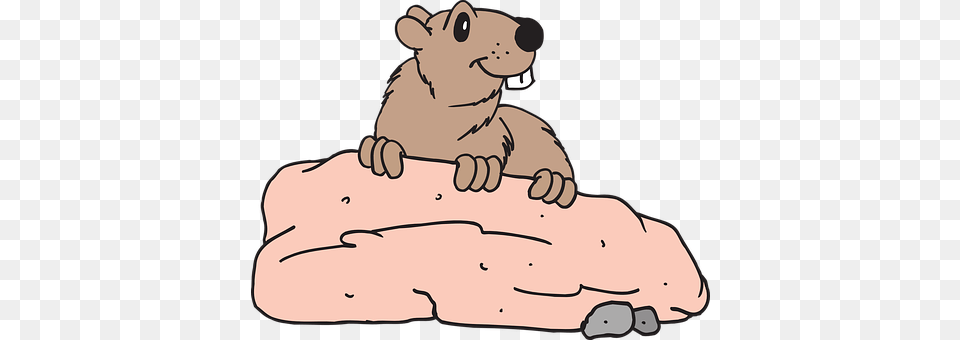 Rock Animal, Mammal, Rodent, Bear Png Image