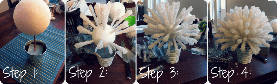 Rock Candy Topiary Centrepiece, Lamp, Table Lamp, Plant, Indoors Free Png