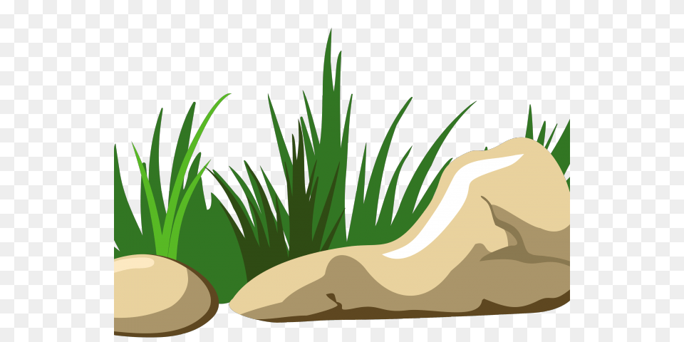 Rock Clipart, Grass, Plant, Potted Plant, Vegetation Png Image