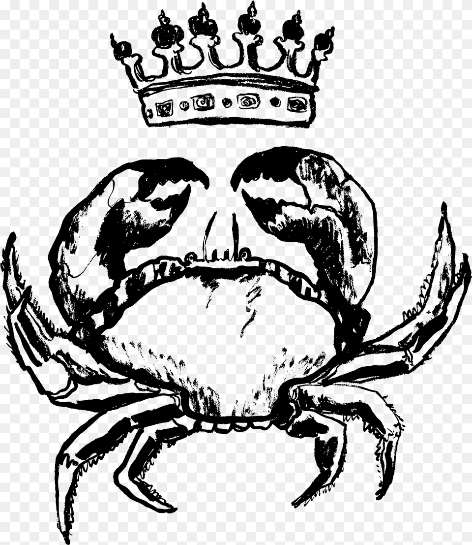 Rock Crab, Gray Png Image