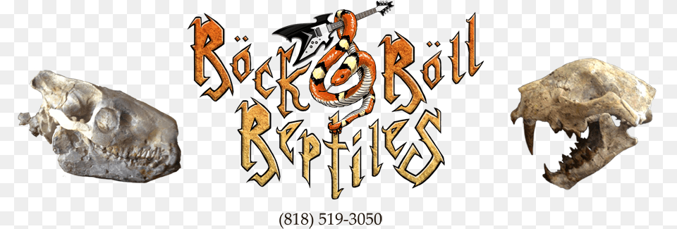Rock N Roll Reptiles Cartoon, Accessories, Jewelry, Gemstone, Animal Free Transparent Png