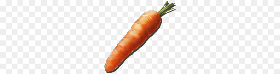 Rockarrot, Carrot, Food, Plant, Produce Png