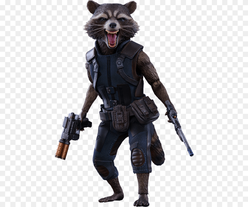 Rocket From Guardians Of The Galaxy Vol Scale Figure Hot, Adult, Male, Man, Person Png Image
