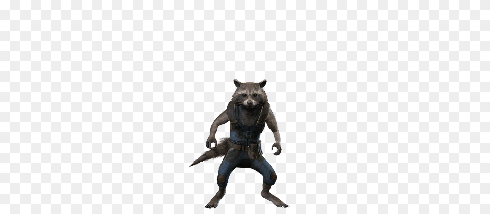 Rocket Raccoon Guardians Of The Galaxy Vol Costume, Art, Accessories, Animal, Canine Png Image