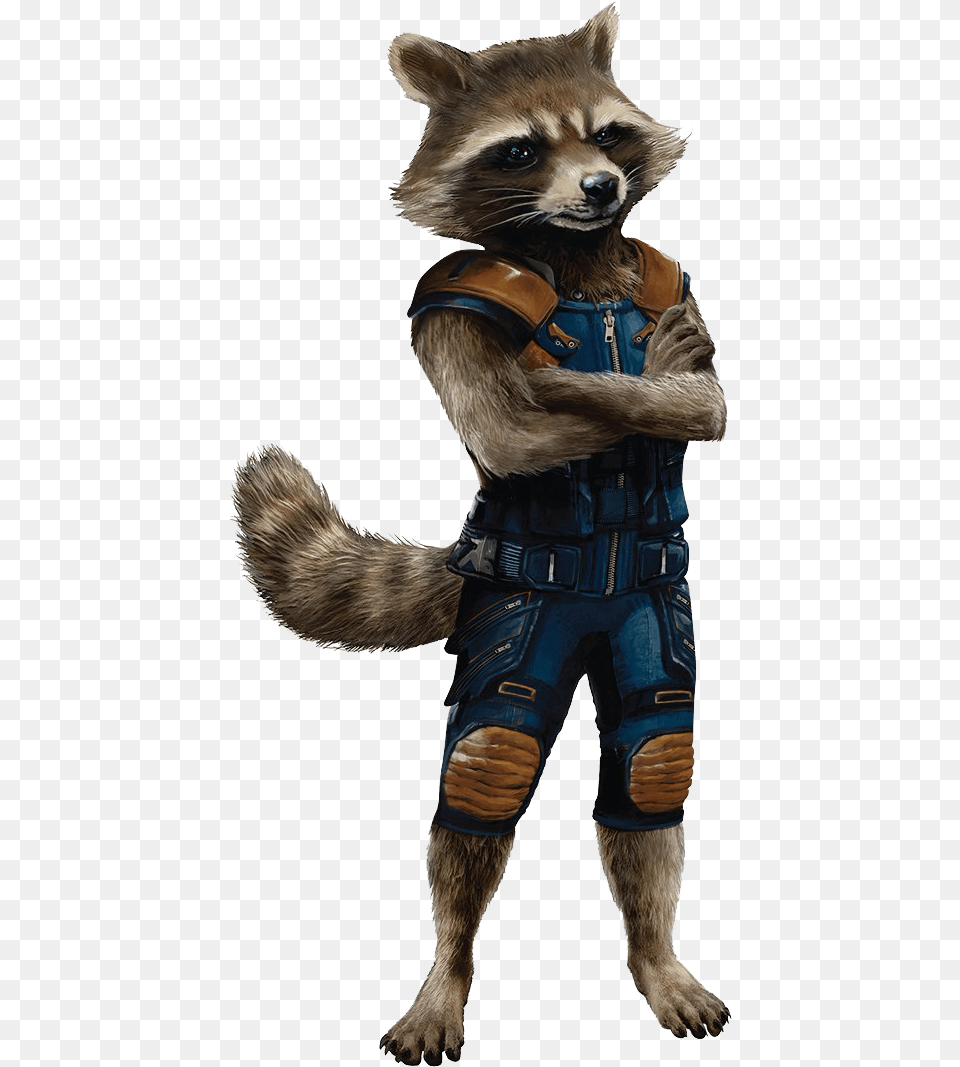 Rocket Raccoon Image File, Animal, Mammal, Cat, Pet Free Png Download