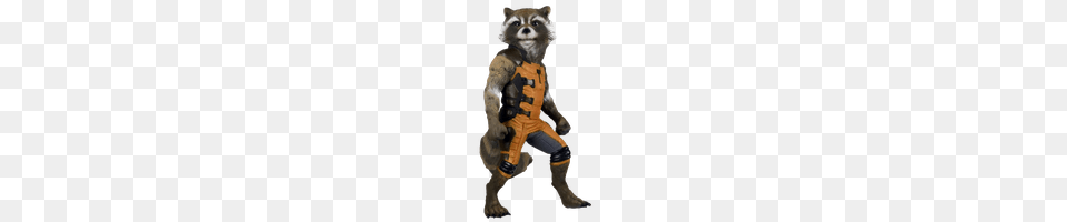 Rocket Raccoon Photo Images And Clipart Freepngimg, Animal, Canine, Dog, Mammal Free Transparent Png