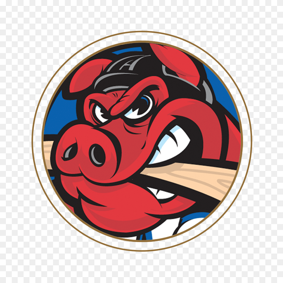 Rockford Icehogs Round Logo, Art, Baby, Person, Face Free Png Download