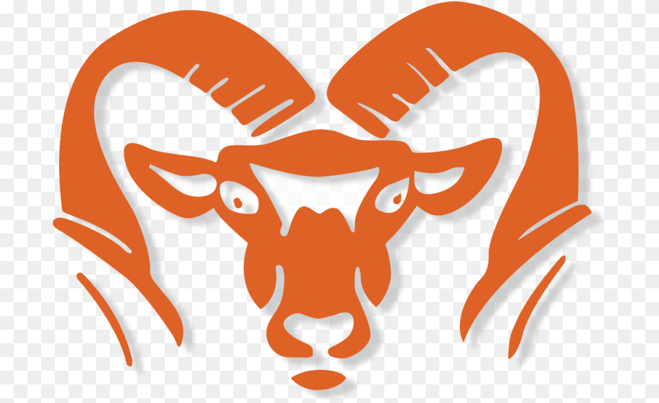 Rockford Ram Logo Rockford Ram, Livestock, Baby, Person, Animal Free Png