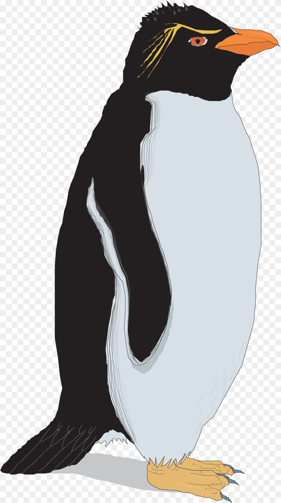 Rockhopper Penguin Clip Art, Animal, Bird, Person, King Penguin Png